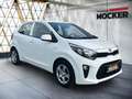 Kia Picanto Edition 7 Blanc - thumbnail 14