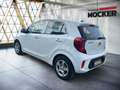 Kia Picanto Edition 7 Blanc - thumbnail 10
