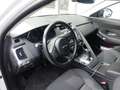 Jaguar E-Pace 2.0D 150 CV AWD aut. Blanc - thumbnail 10