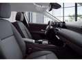 Mercedes-Benz A 250 e Limo Navi/MBUX/Kamera/Park-A/SHZ/17' Wit - thumbnail 7