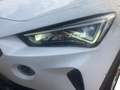 CUPRA Formentor 2.0 TDI 4drive 150cv DSG Bianco - thumbnail 6