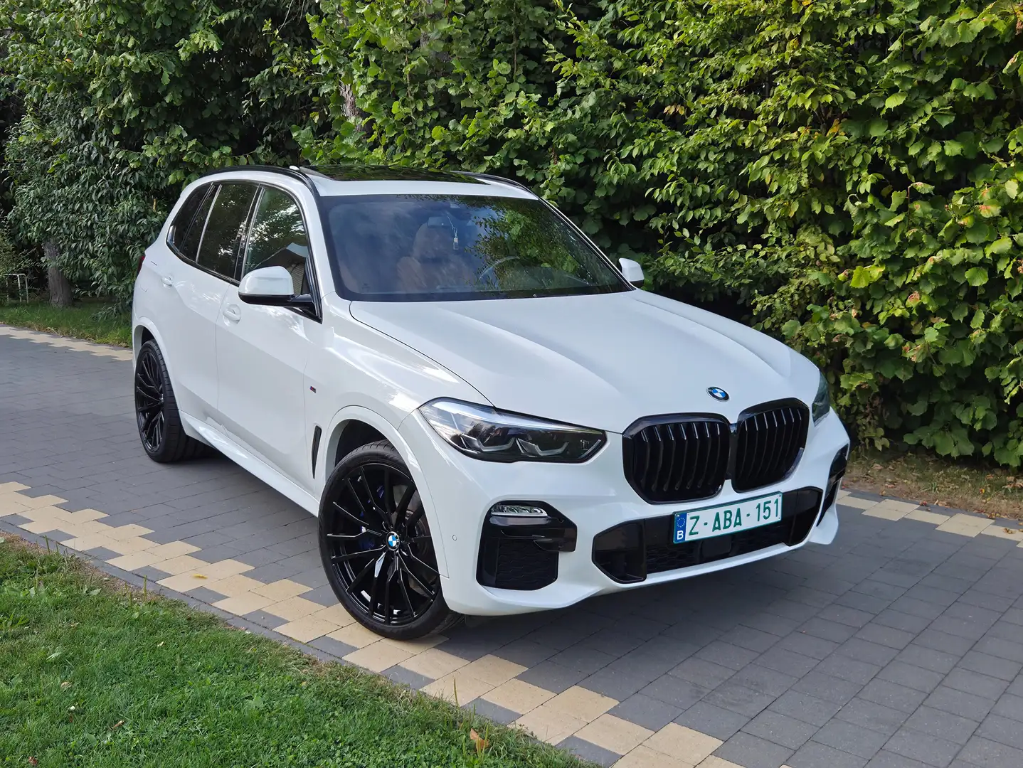BMW X5 X5 3.0 dA xDrive30 Blanc - 1