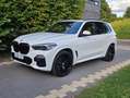BMW X5 X5 3.0 dA xDrive30 Blanc - thumbnail 3