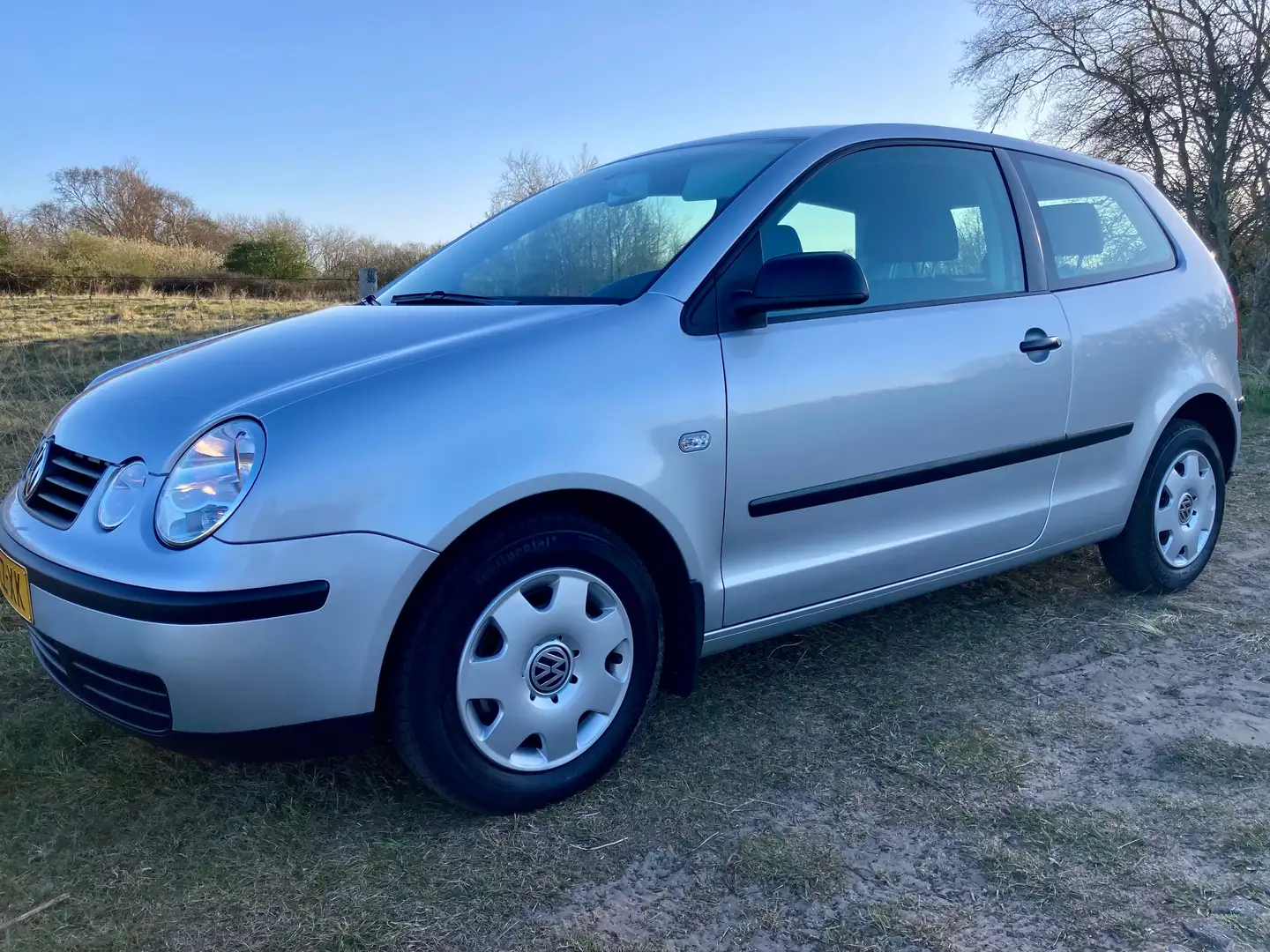 Volkswagen Polo Polo 1.4-16V Zilver - 2