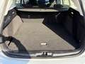Ford Focus Traveller Active Silber - thumbnail 18