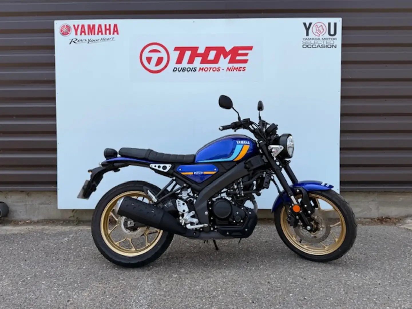 Yamaha XSR 125 Azul - 1