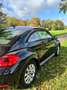 Volkswagen Beetle Beetle 1.2 TSI Trend Czarny - thumbnail 11