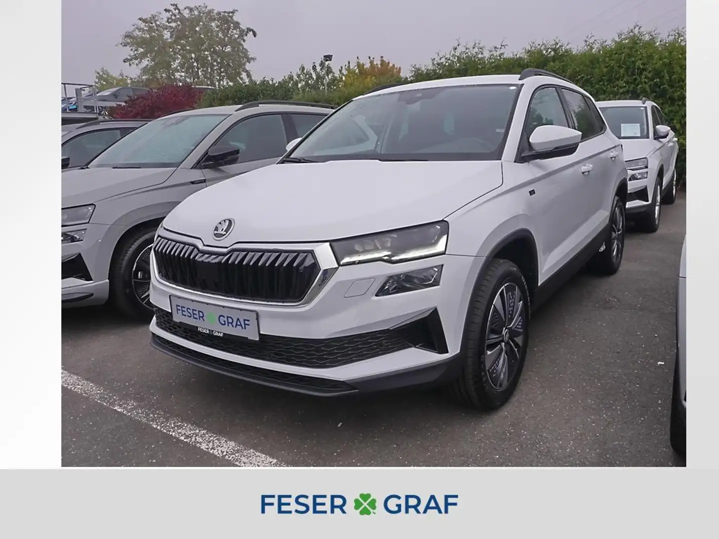 Skoda Karoq 1.5 TSI Tour DSG AHK Kessy Navi RüKa Sitzh Weiß - 1