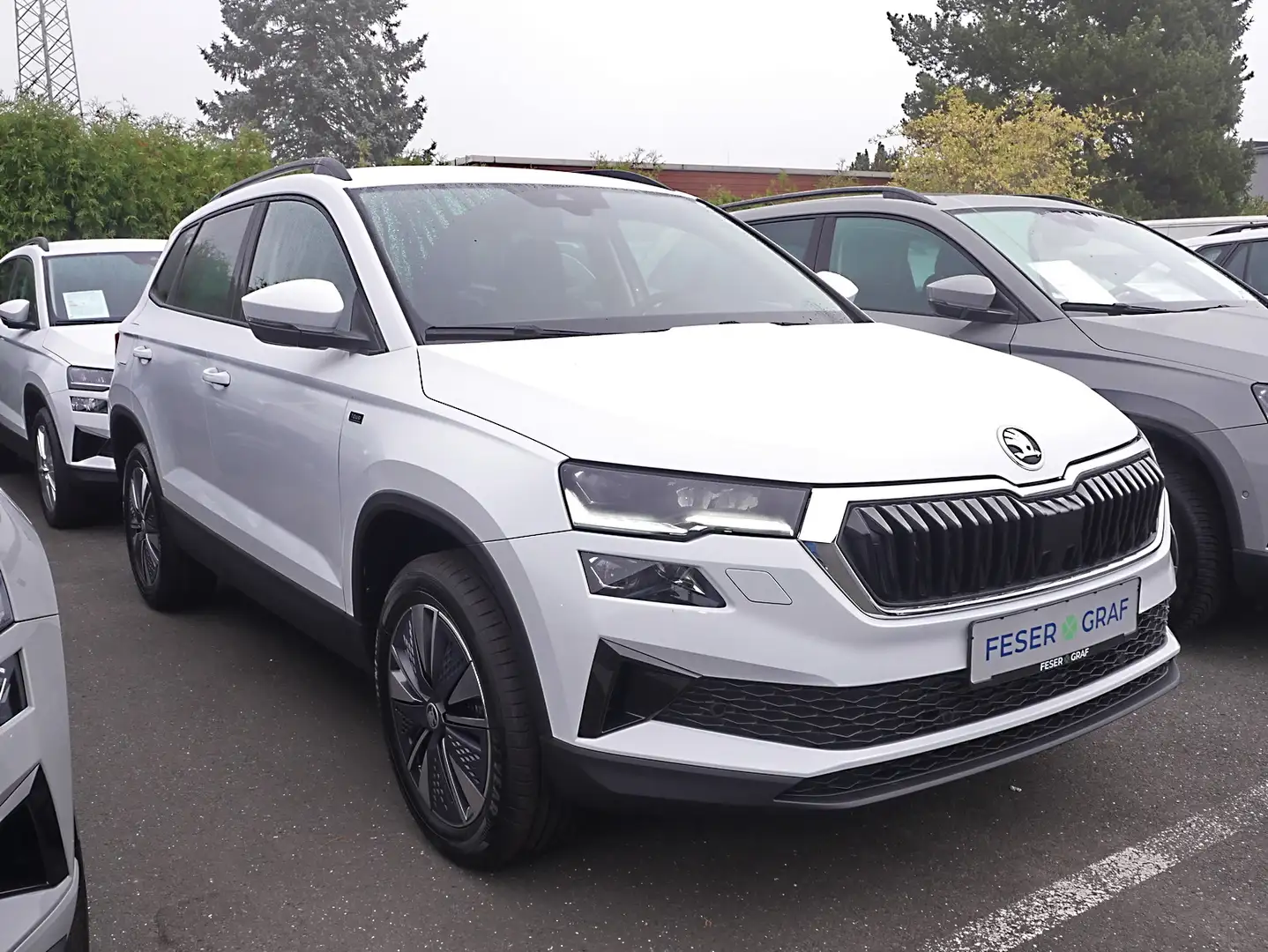 Skoda Karoq 1.5 TSI Tour DSG AHK Kessy Navi RüKa Sitzh Weiß - 2