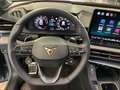CUPRA Terramar VZ 2.0 TSI 265 PS DSG 4Drive Grau - thumbnail 12
