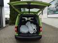 Volkswagen Caddy Roncalli Trendline *Schiebetür links & rechts* Grün - thumbnail 11