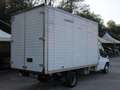 Ford Transit FORD TRANSIT T350 GEMELLATO CASSONATO Bianco - thumbnail 4