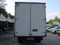 Ford Transit FORD TRANSIT T350 GEMELLATO CASSONATO Bianco - thumbnail 5