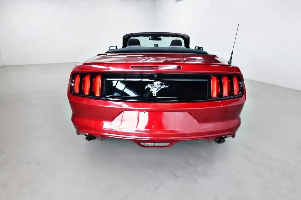 Ford Mustang fotografie Ford Mustang