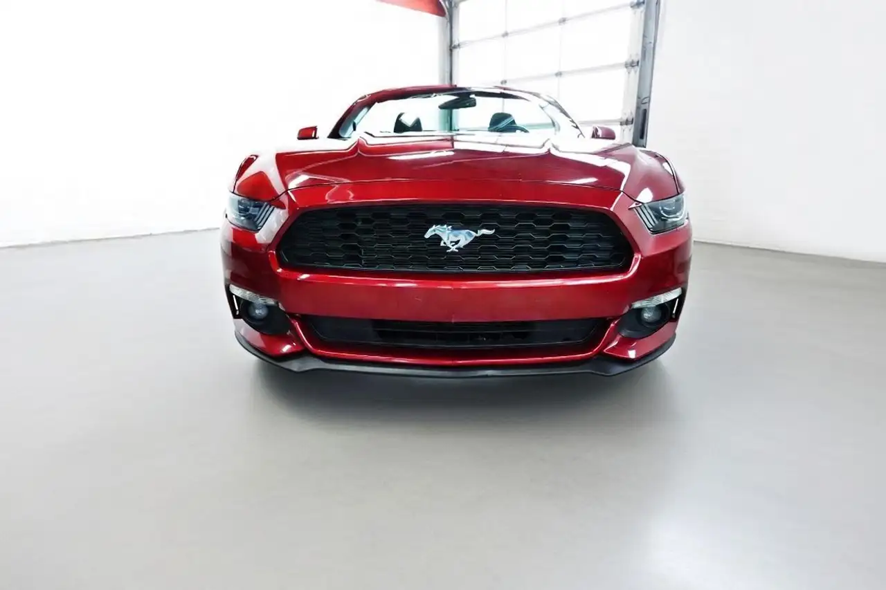Ford Mustang fotografie Ford Mustang