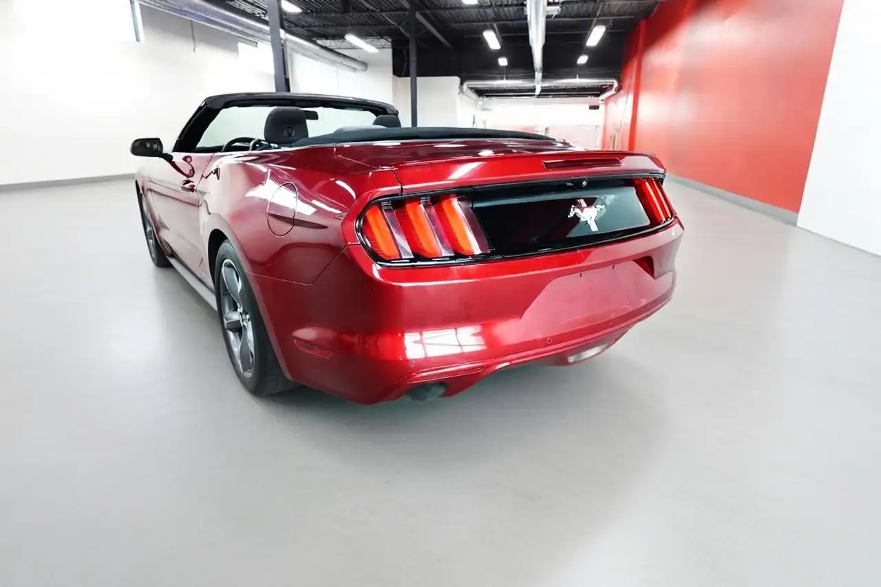 Ford Mustang fotografie Ford Mustang