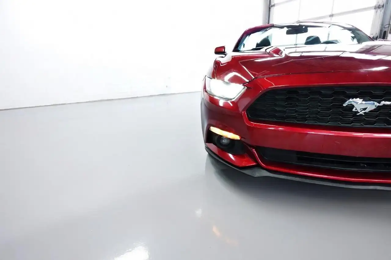 Ford Mustang fotografie Ford Mustang