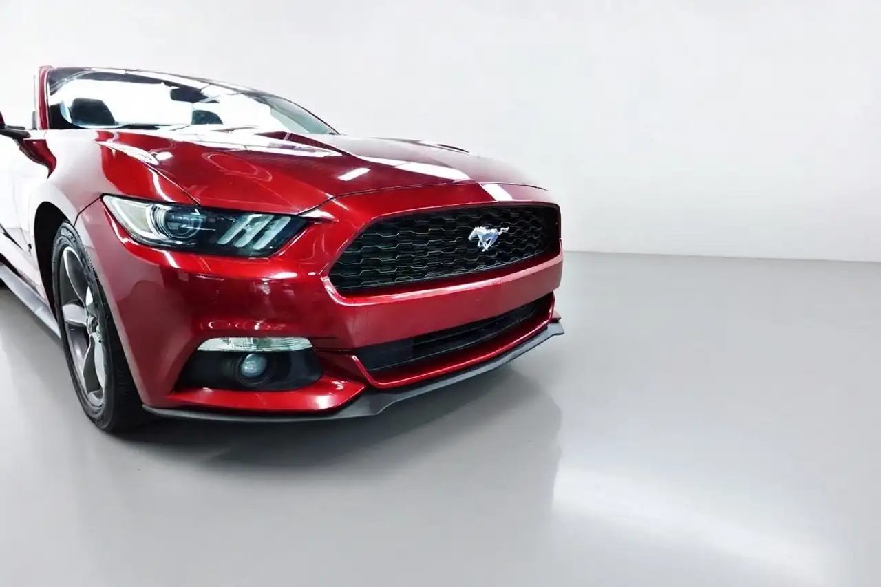 Ford Mustang fotografie Ford Mustang