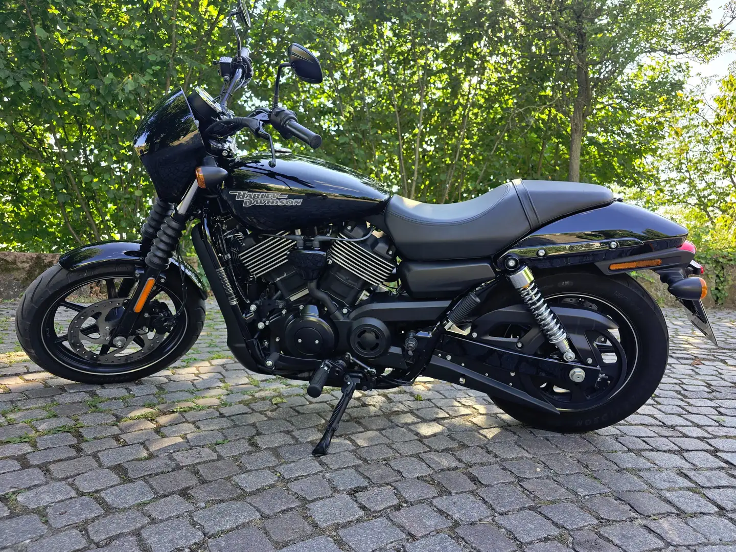 Harley-Davidson Street 750 Verde - 2