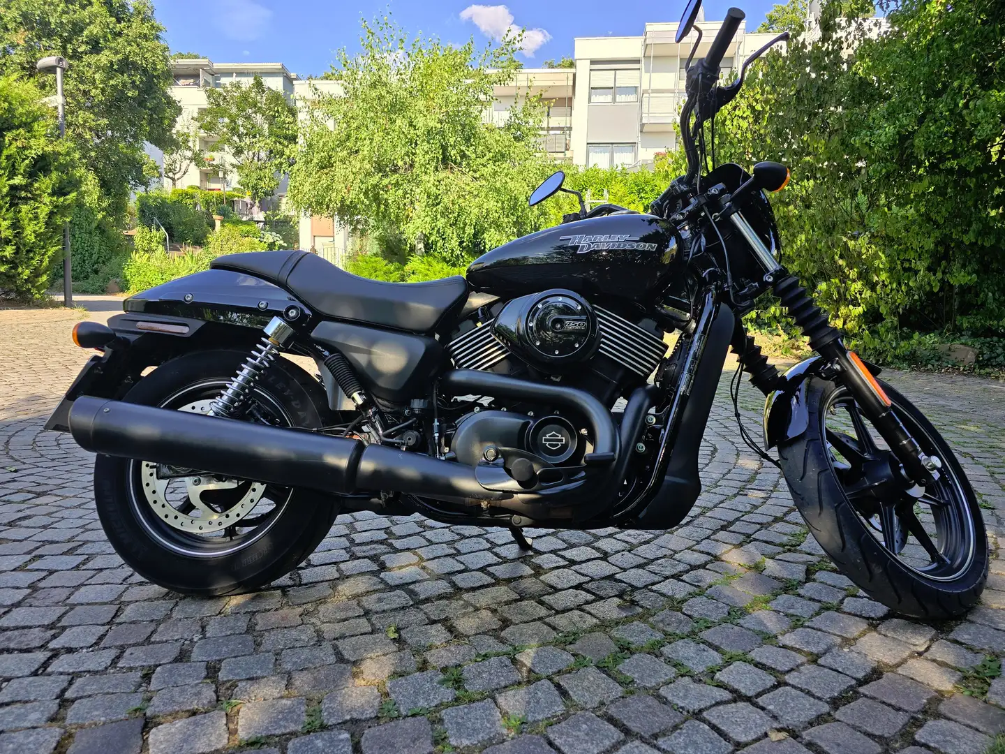 Harley-Davidson Street 750 Yeşil - 1