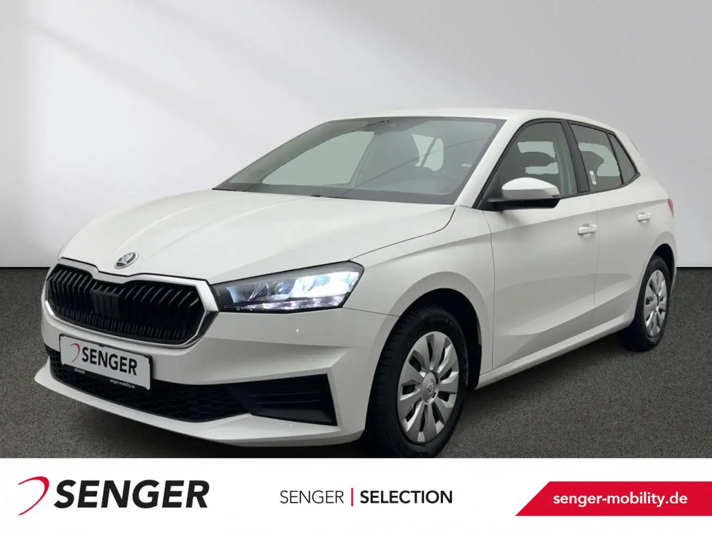 Skoda Fabia Active 1.0 MPI Winter-Paket Smart Link LED Blanco - 1