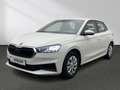 Skoda Fabia Active 1.0 MPI Winter-Paket Smart Link LED Blanco - thumbnail 14