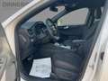 Ford Kuga ST-Line X 4x4 LED+Navi+Kamera+Keyless Weiß - thumbnail 9