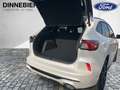 Ford Kuga ST-Line X 4x4 LED+Navi+Kamera+Keyless Weiß - thumbnail 8