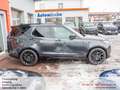 Land Rover Discovery D350 Dynamic SE AWD*Panorama*AHK* Gris - thumbnail 8