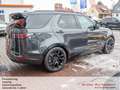 Land Rover Discovery D350 Dynamic SE AWD*Panorama*AHK* Gris - thumbnail 6