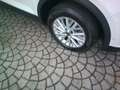 Volkswagen T-Roc T-Roc 1.0 tsi Life 110cv Bianco - thumbnail 6