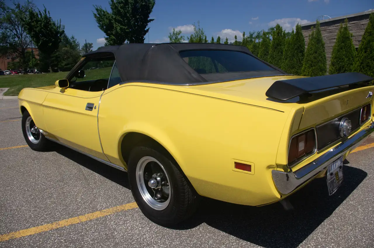Ford Mustang fotografie Ford Mustang