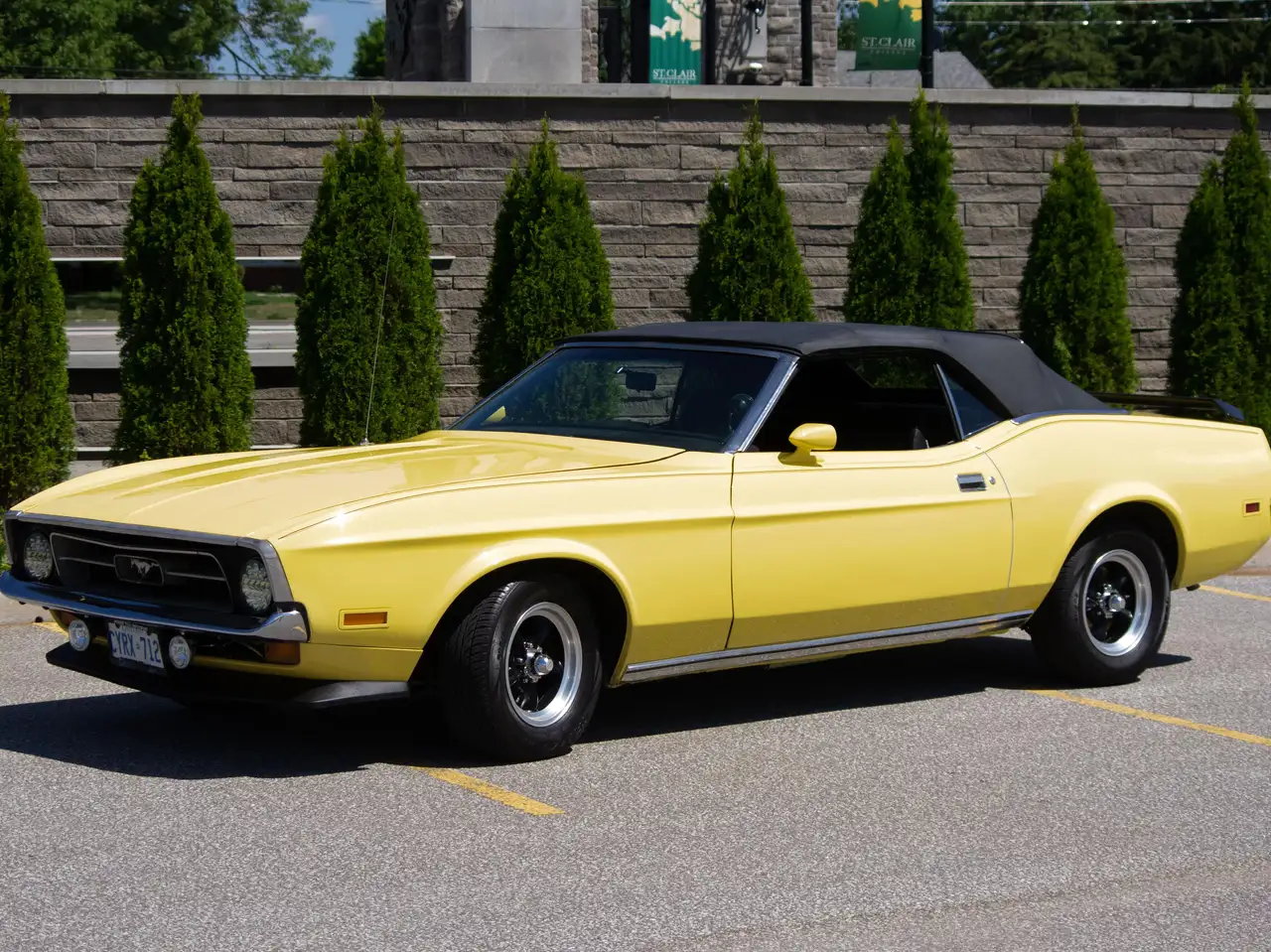 Ford Mustang fotografie Ford Mustang