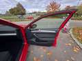 Volkswagen Passat Business Rot - thumbnail 17