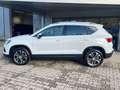 SEAT Ateca 1.5 TSI DSG Style Edition NAVI AHK KAMERA Weiß - thumbnail 8