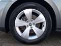 Skoda Superb Combi 1.4 TSI Hybrid Ambition iV DSG / STHZG / NAV Grau - thumbnail 17