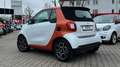 smart forTwo Cabrio TURBO DCT WHITE & ORANGE EDITION! Blanc - thumbnail 6