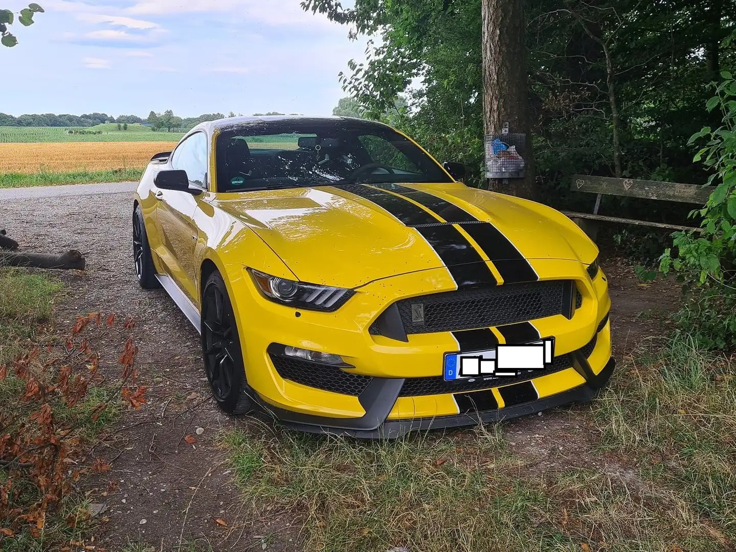 Ford Mustang Shelby GT 350 Yellow - 1
