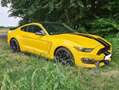 Ford Mustang Shelby GT 350 Żółty - thumbnail 2