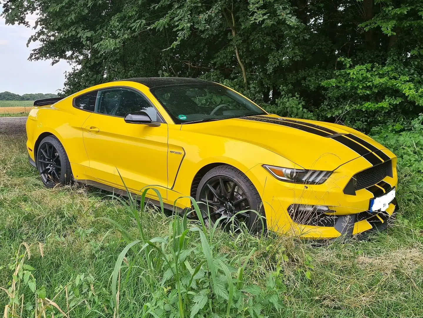 Ford Mustang Shelby GT 350 Gelb - 2