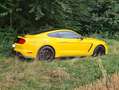 Ford Mustang Shelby GT 350 žuta - thumbnail 3