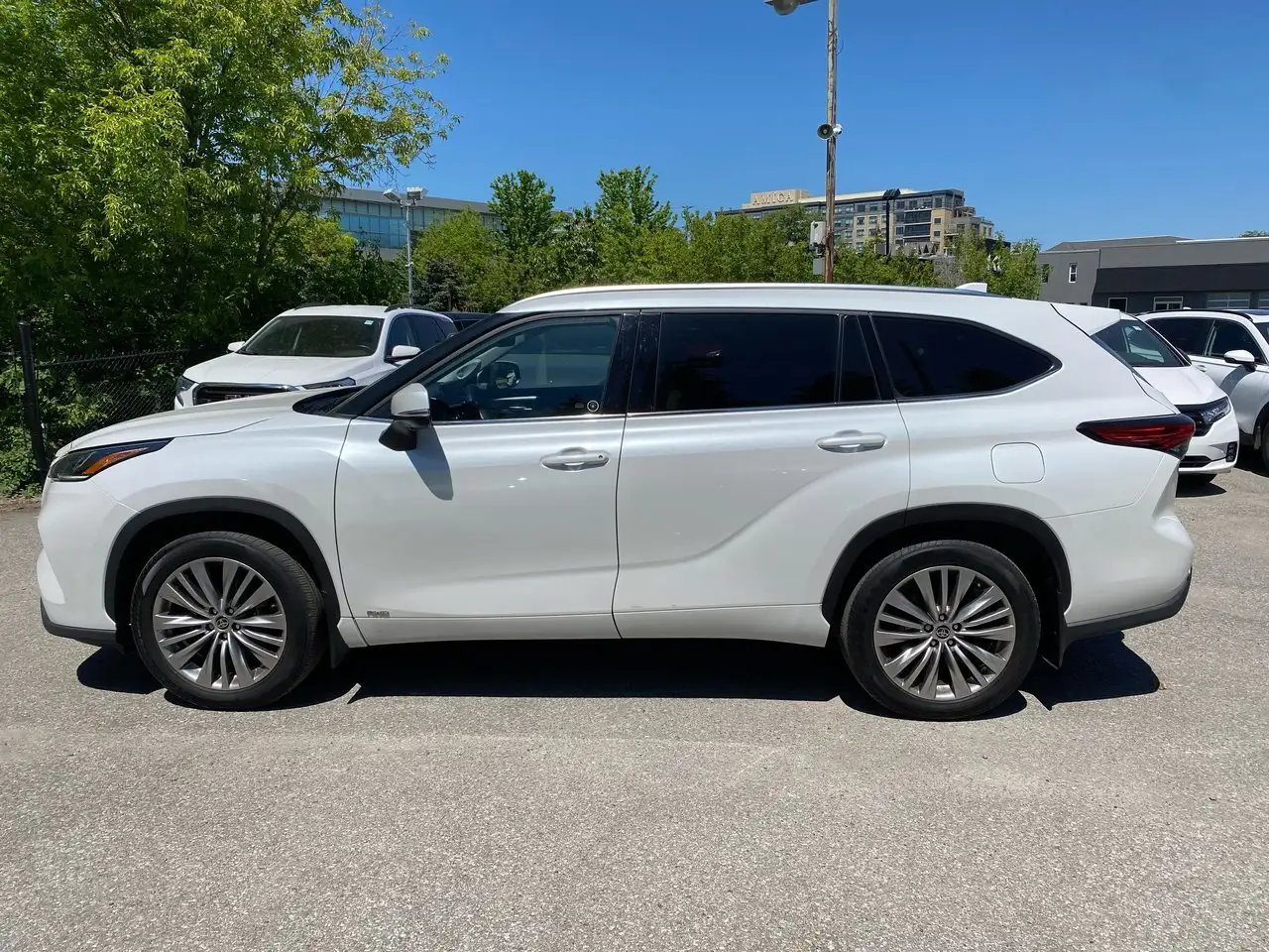 Toyota Highlander fotografie Toyota Highlander