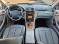 Mercedes-Benz CLK 270 Coupe CDI Avantgarde,Automatik,Klima,PDC,Tüv Argento - thumbnail 12