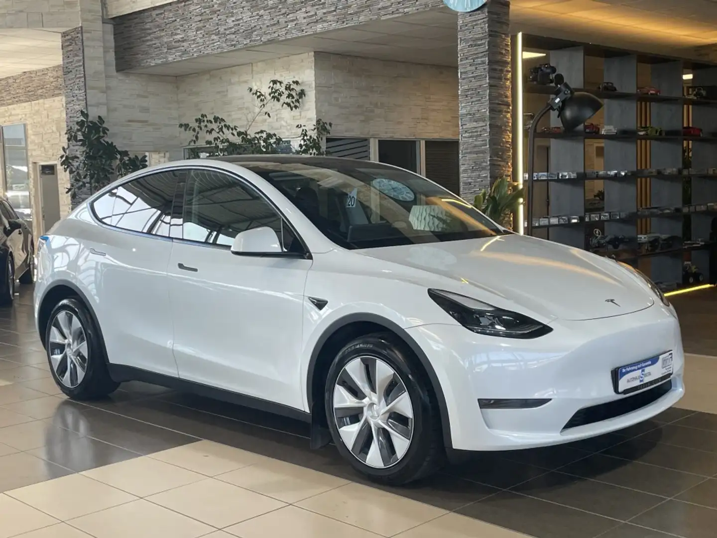 Tesla Model Y Long Range Dual AWD Pano Leder LED R.Cam Weiß - 1