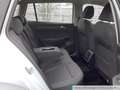 Volkswagen Golf Variant Golf VIII Variant 1.0 TSI Life Klima ParkPilot A Weiß - thumbnail 11