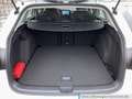 Volkswagen Golf Variant Golf VIII Variant 1.0 TSI Life Klima ParkPilot A Weiß - thumbnail 19
