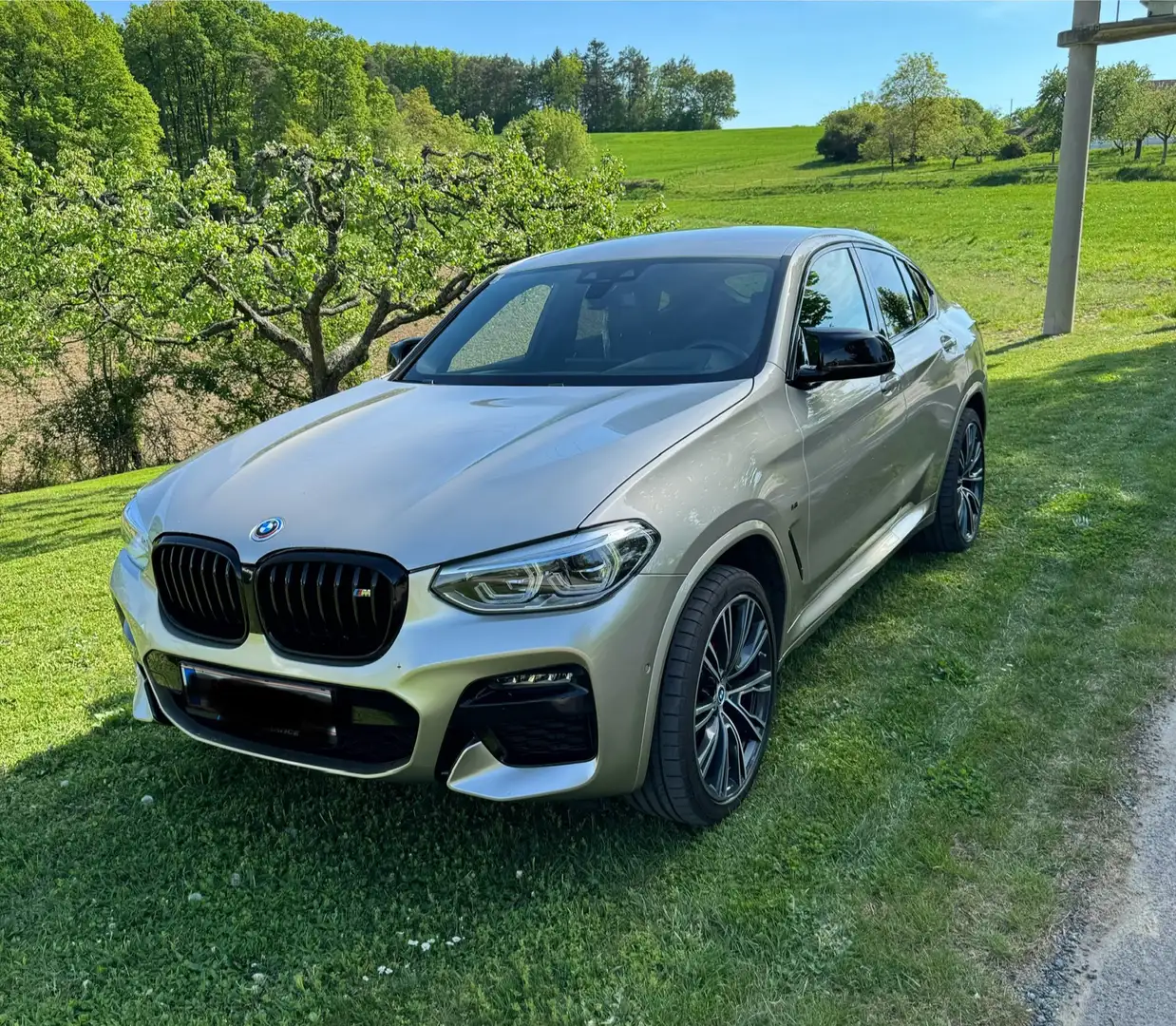 BMW X4 xDrive 20d 48 V Aut. Or - 1