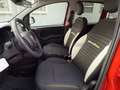 Fiat Panda Panda 1.0 firefly hybrid s&s 70cv 5p.ti Rouge - thumbnail 12