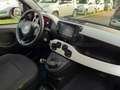 Fiat Panda Panda 1.0 firefly hybrid s&s 70cv 5p.ti Rouge - thumbnail 7