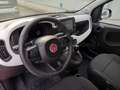 Fiat Panda Panda 1.0 firefly hybrid s&s 70cv 5p.ti Rouge - thumbnail 20